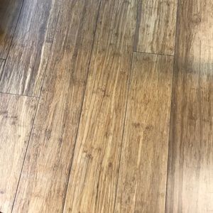 Meet your Posher, Dr judy